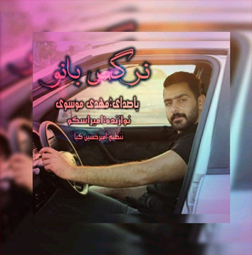 مهدی موسوی نرگس بانو